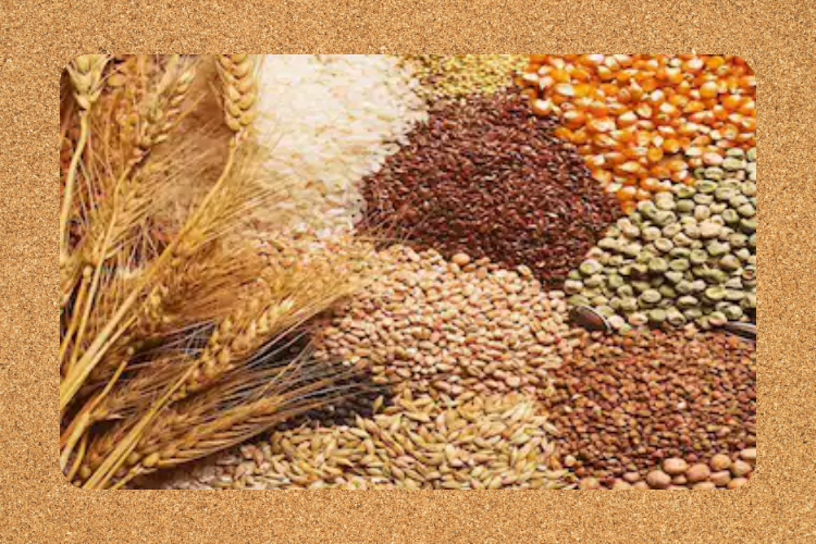 Agro Products by Lizika Group