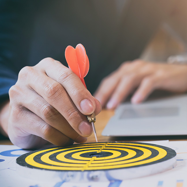 Lizika Mission Vision